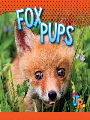 cover image of Fox Pups